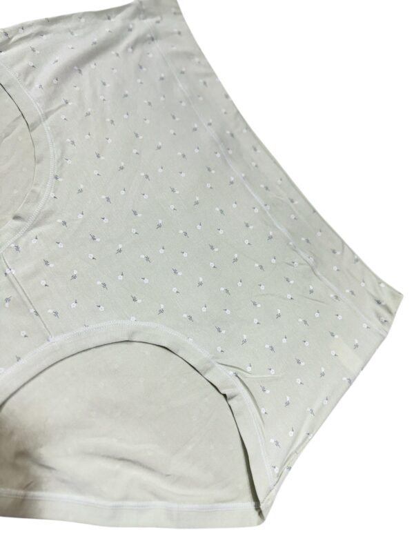 PNY040 - Image 3