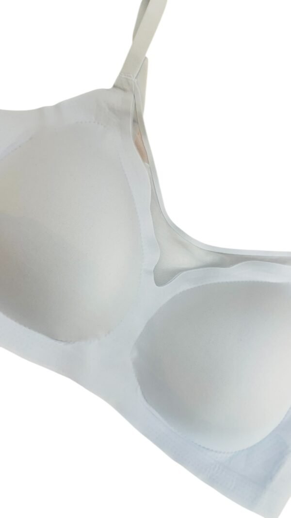 BH023 - Image 3