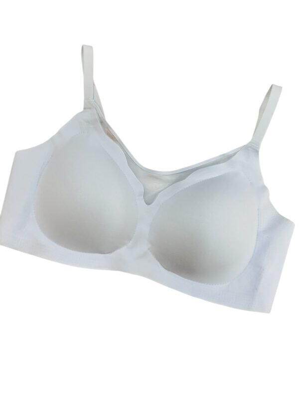 BH023 - Image 2
